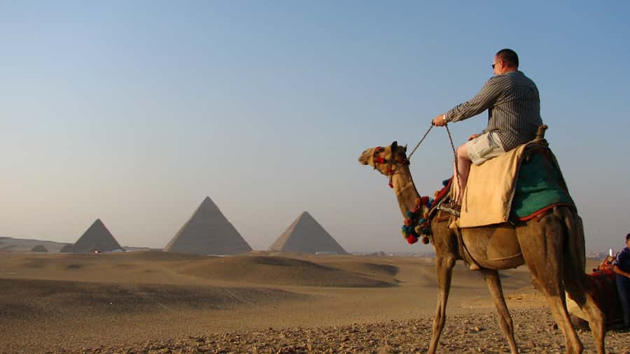 Cairo: Sunrise Camel Ride, Pyramids Tour & Local Breakfast. - Price and Value: Is $101 Fair for What You’re Getting?