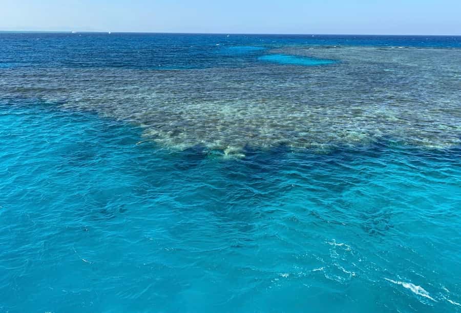 Cairo to Red Sea: VIP Yacht Cruise, Snorkeling & Lunch - The yacht and crew setup: what “VIP” should mean here