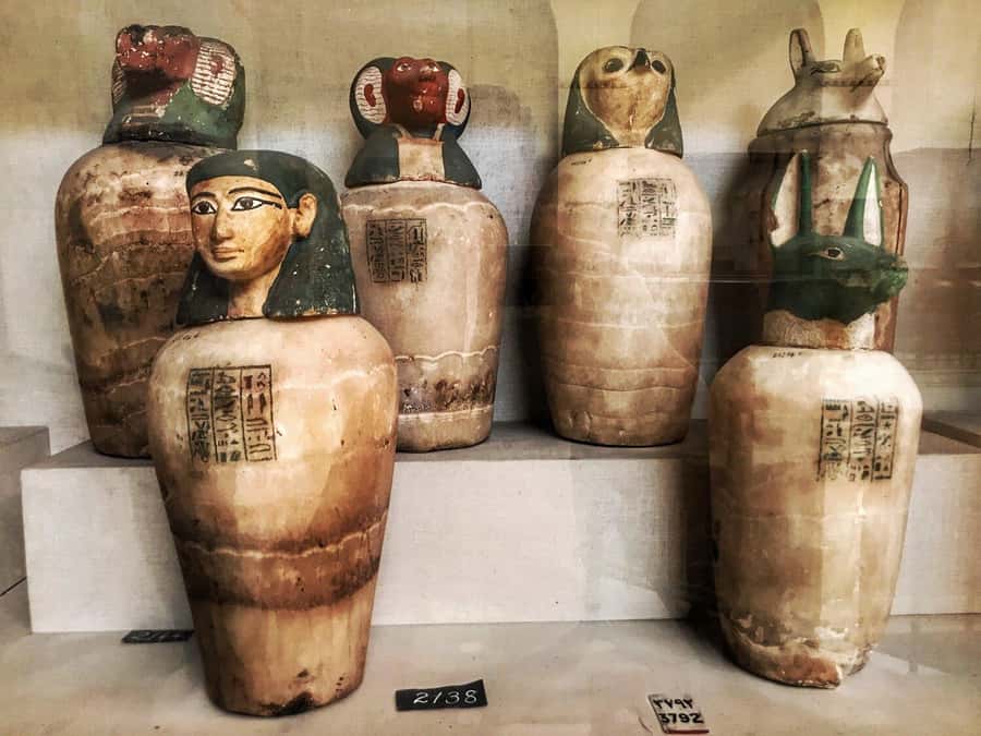 Cairo Tour To Egyptian Museum, Citadel & Khan Khalili Bazaar - Price and Logistics: Is $70 a Good Value for This 8-Hour Route?