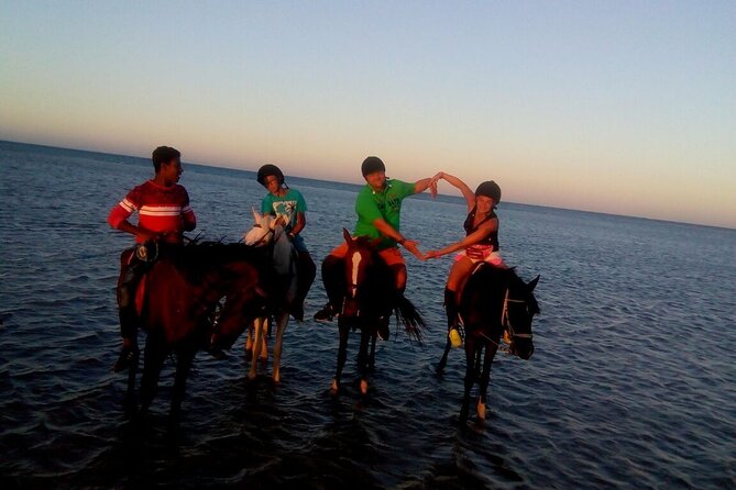 Camel ride & Bedouin dinner quad safari in Sharm el Sheikh - Quad Bike Time in the Sharm Desert, Built for Sunset Views