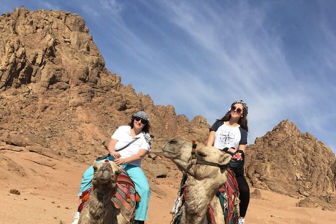 Camel ride & Bedouin dinner quad safari in Sharm el Sheikh - Safety and Vehicle Condition: What You Can Do Before You Ride