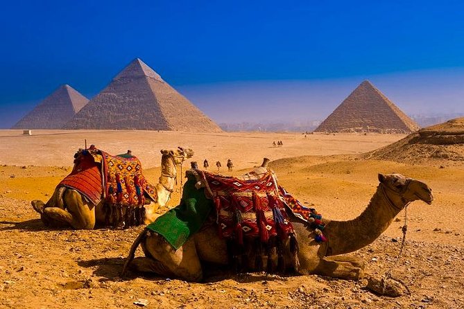 Day Tour Pyramids of Giza and Sphinx from Cairo - Why This Half-Day Giza Trip Works Better Than DIY