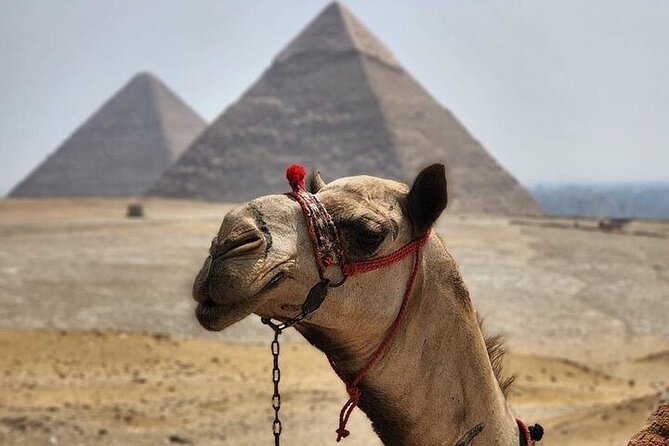 Day tour to Giza Pyramids, Memphis and Sakkara - Hotel pickup, private A/C comfort, and why the start time matters