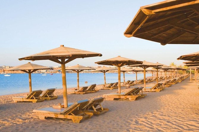 Day-Tour to the Red Sea from Cairo - Your Guide and Driver: The Human Part That Can Make or Break It