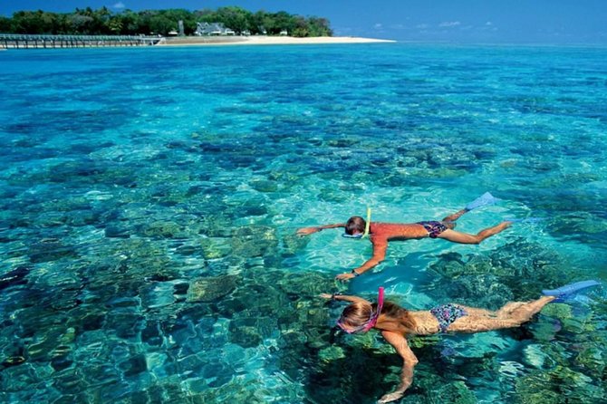 Day-Tour to the Red Sea from Cairo - Who This Tour Is Best For, and Who Should Rethink