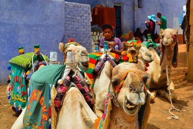 Day Trip to Nubian Village with Camel Tour from Aswan - A tight plan that fits real Aswan days