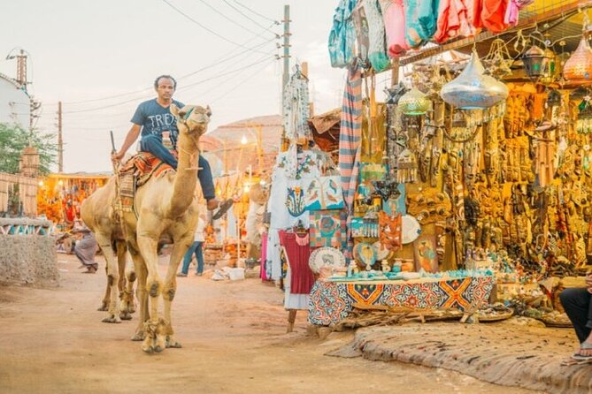 Day Trip to Nubian Village with Camel Tour from Aswan - Who should book this Nubian Village camel tour
