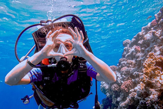 Discover Scuba Diving Sharm El Sheikh - Lunch, Drinks, and the Pace Between Water Moments