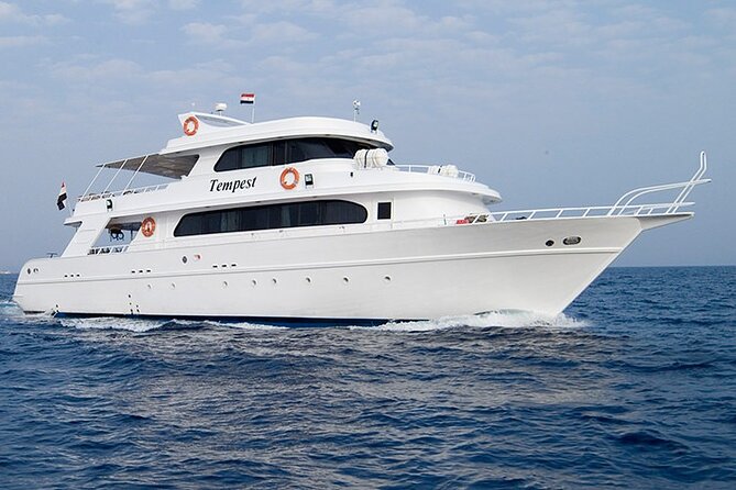 Diving And Snorkeling To Ras Mohamed And White Island By VIP Boat - Getting from your hotel to the marina, then onto the boat