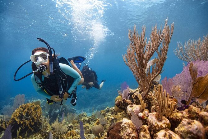 Diving And Snorkeling To Ras Mohamed And White Island By VIP Boat - White Island sandbar time: beaches, shallow water, and the crowd reality