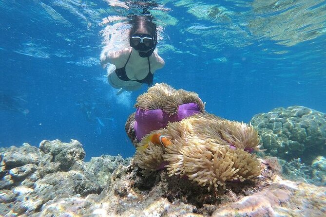 Diving And Snorkeling To Ras Mohamed And White Island By VIP Boat - The extras that can add cost: park fees and photo packages