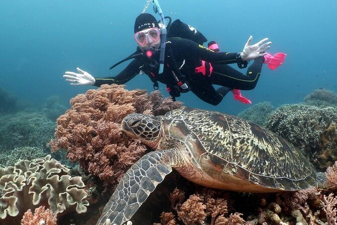 Diving And Snorkeling To Ras Mohamed And White Island By VIP Boat - What to bring for a comfortable Red Sea day