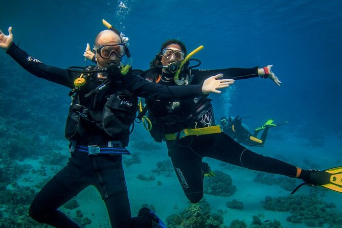 Diving Full Day 2 Stops Boat Trip For Beginners With Lunch and Transfer-Hurghada - Pickup, Timing, and How Your Morning Runs Smoothly