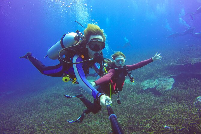 Diving Full Day 2 Stops Boat Trip For Beginners With Lunch and Transfer-Hurghada - The Two Underwater Stops: Beginner-Friendly Pacing and Real Expectations