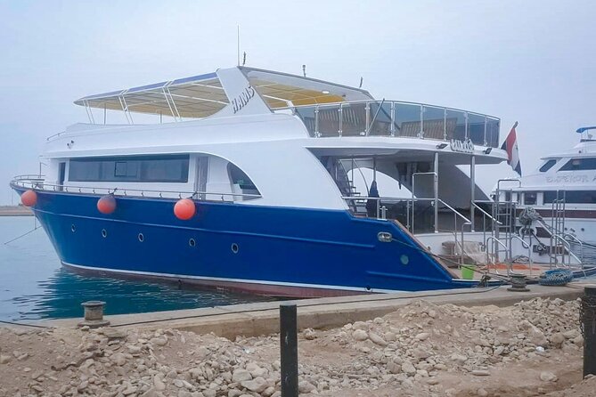 Diving Full Day 2 Stops Boat Trip For Beginners With Lunch and Transfer-Hurghada - Safety, Instruction Quality, and the Human Factor