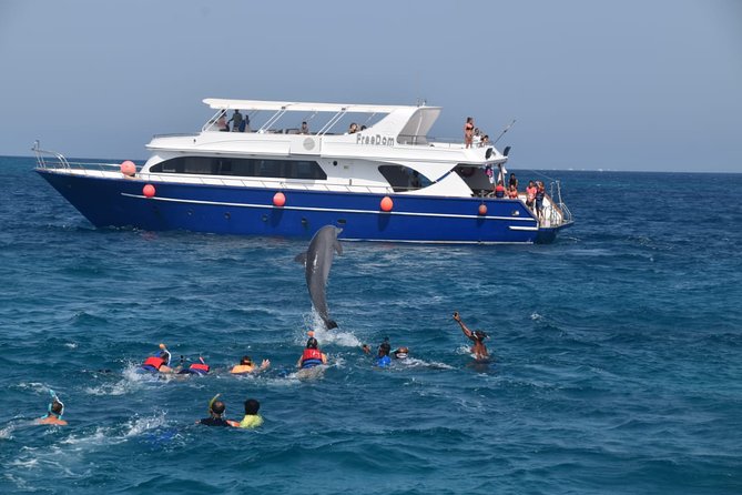 Dolphin House and Banana Boat Fun from Hurghada - Red Sea Cruise Basics: where you start and how the day flows
