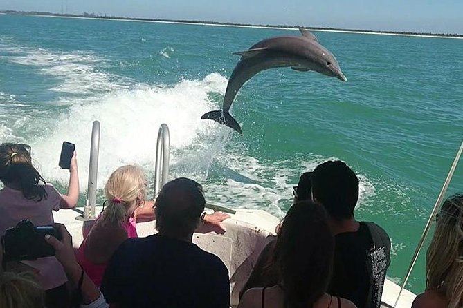 Dolphin House By Private Speed Boat & Drinks & Transfer-Hurghada - Dolphin House by private speedboat, what you’re really paying for