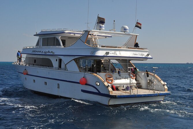 Dolphin House Snorkel & Water Fun Activity with Lunch - Hurghada - Dolphin House visit: how to set expectations for seeing dolphins