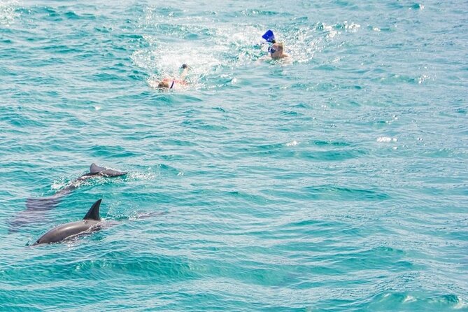 Dolphin House Snorkeling,Water Sports, Lunch & Transfer- Hurghada - Timing and Group Size, Why It Affects Your Experience