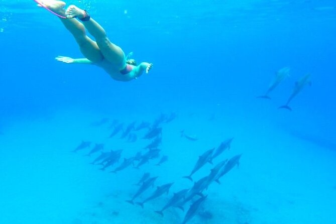 Dolphin House Snorkeling,Water Sports, Lunch & Transfer- Hurghada - From 8:00 AM Pickup to Two Coral-Reef Snorkel Sessions