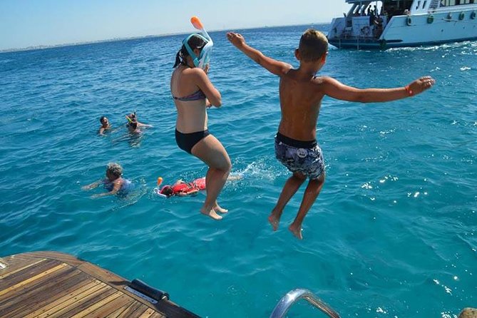 Dolphin Tour in Hurghada - Dolphin House: How the Dolphin Part Usually Plays Out