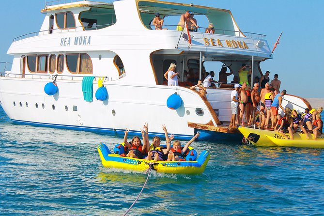 Dolphin Tour in Hurghada - Snorkeling Stop Two: More Fish, Different Views, Better Chances