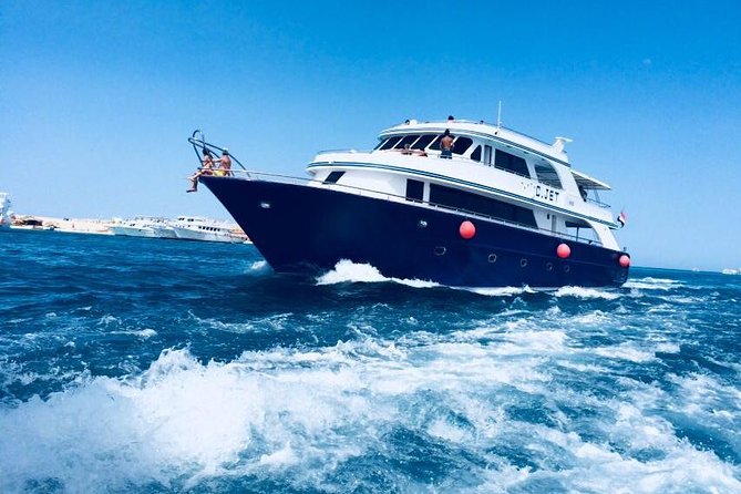 Dolphin Tour in Hurghada - Pickup, Marina Arrival, and the Real Timing of Your Day