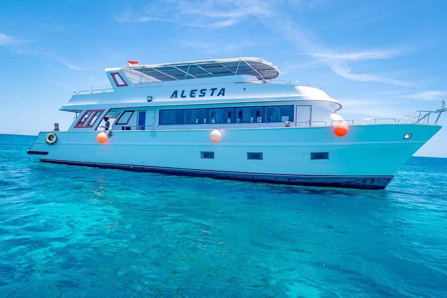 Dolphin Tour with Red Sea Fun. The Best in Hurghada - Key Points You Should Know Before You Go