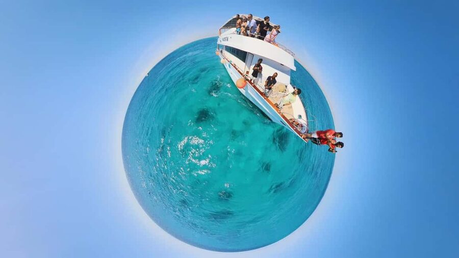 Dolphin Tour with Red Sea Fun. The Best in Hurghada - Finding dolphins in the Red Sea: what to expect from the swim time