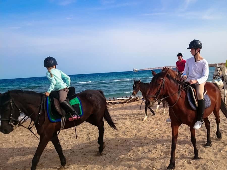 El Gouna: Desert & Sea Horse Riding With Swimming Optional - Value at about $26: what you actually get for your money