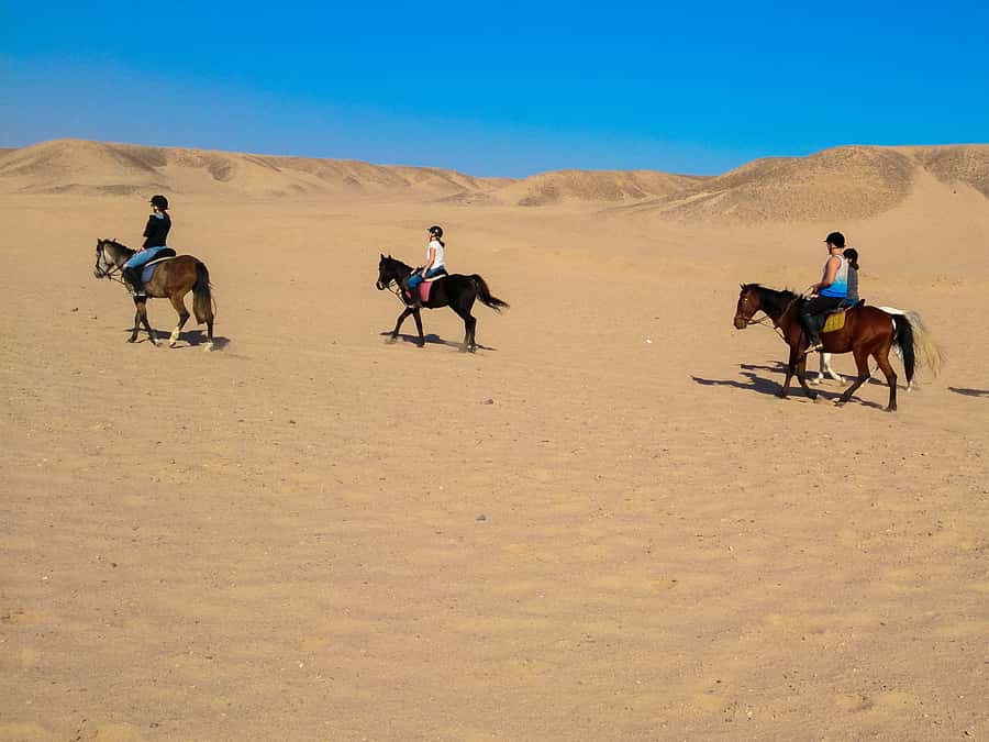 El Gouna: Desert & Sea Horse Riding With Swimming Optional - Desert trails and Red Sea views: what to expect on the ground