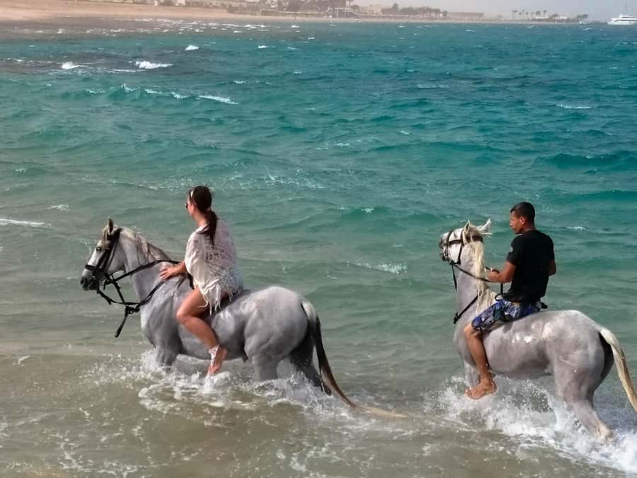 El Gouna: Desert & Sea Horse Riding With Swimming Optional - Practical stuff that makes or breaks the day