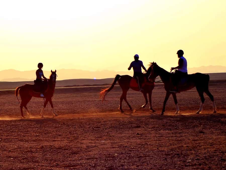 El Gouna: Desert & Sea Horse Riding With Swimming Optional - Your 3-5 hour plan, from stable prep to the last photo