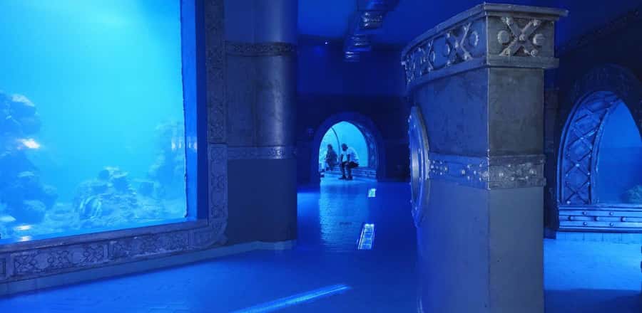Entry Ticket: Grand Aquarium Hurgada - Key Things You’ll Notice Right Away