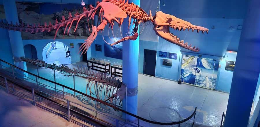 Entry Ticket: Grand Aquarium Hurgada - Rainforest Exhibit: Birds, Reptiles, and Sound Effects That Actually Help