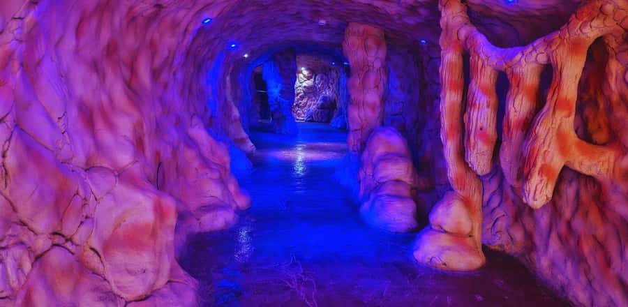 Entry Ticket: Grand Aquarium Hurgada - Mini Zoo Garden: Rescued Land Animals and Hands-On Energy
