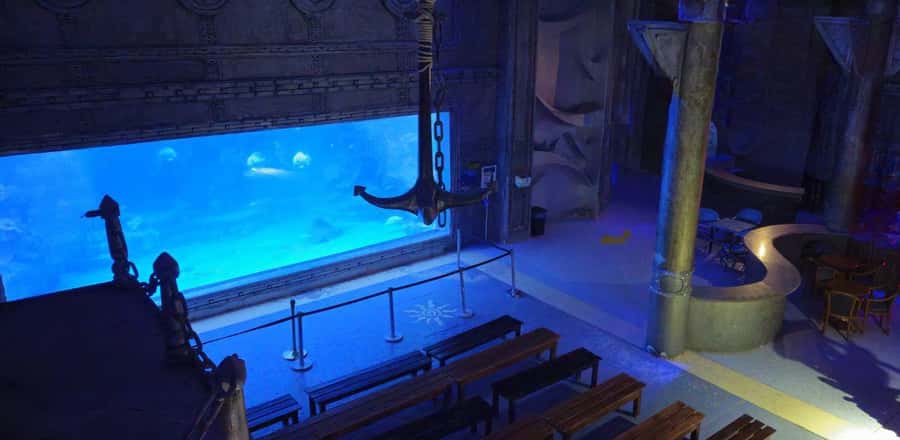 Entry Ticket: Grand Aquarium Hurgada - Entering the Park: Jungle-Style Setup and 22 Themed Aquariums