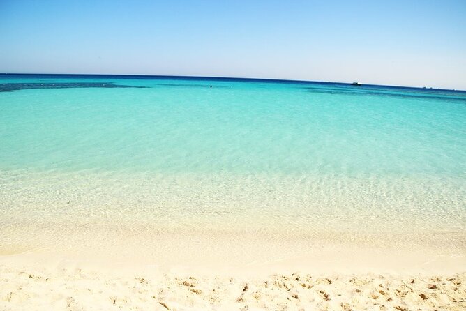 Excursion to the White Island & Ras Mohammed National Park from Sharm El Sheikh - Snorkeling inside Ras Mohammed: where the best moments can happen