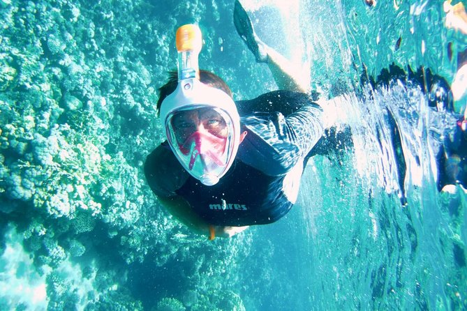 Excursion to Tiran Island by boat - The snorkeling plan: how you get 2 to 3 reef sessions