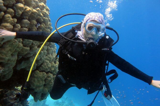 Excursion to Tiran Island by boat - The boat ride itself: comfort, crew, and what the ride feels like