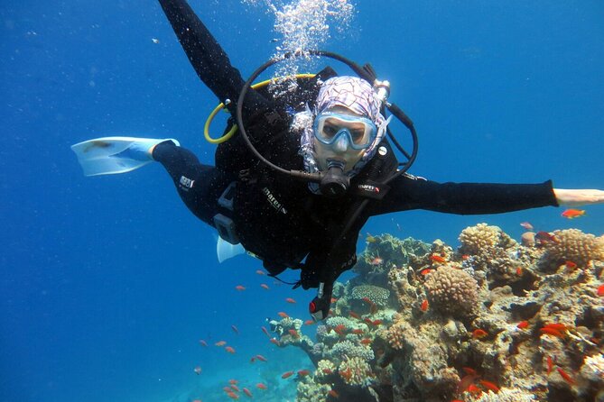 Excursion to Tiran Island by boat - Lunch and drinks onboard: the value of being fed without planning