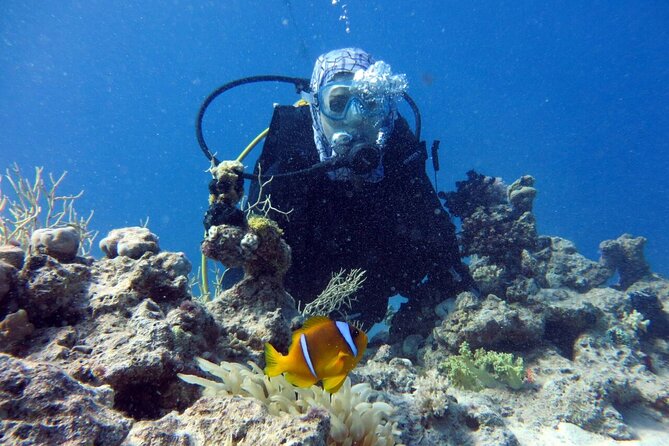Excursion to Tiran Island by boat - Practical tips to make the most of your snorkel time
