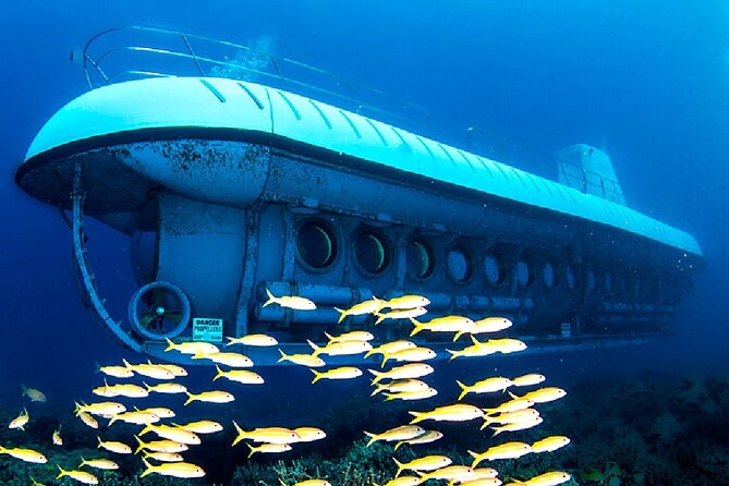 Explore Hurghada: Semi-Submarine Tour & Snorkeling - Hurghada - Is the Coral Good? Expectations for the Red Sea Reef
