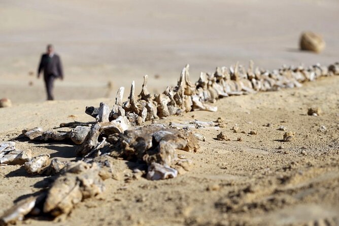 Fayoum 4x4 Safari Adventure, Sandboarding, Lunch, Felucca - Moving from dunes to water, felucca time in Fayoum