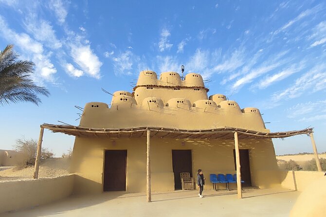 Fayoum Oasis Tour Hidden Gem Wadi El Rayan & Valley of the Whales - Pickup, air-conditioned comfort, and how your guide shapes the day