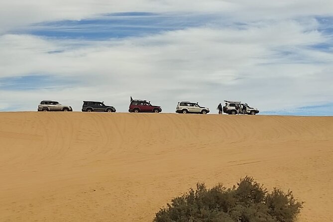 Fayoum Oasis Tour Hidden Gem Wadi El Rayan & Valley of the Whales - Lunch that actually fits the desert rhythm
