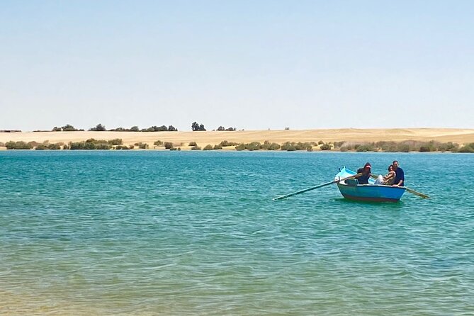 Fayoum Oasis Tour Hidden Gem Wadi El Rayan & Valley of the Whales - Who should book this tour, and who should skip it