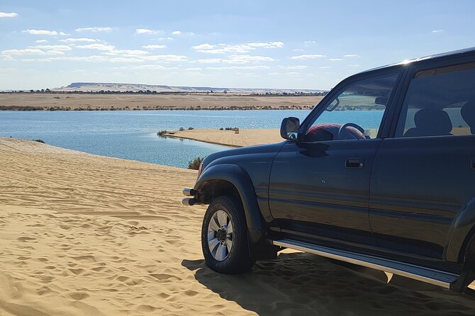 Fayoum Oasis Tour Hidden Gem Wadi El Rayan & Valley of the Whales - Getting the timing right in an 8 to 10 hour day