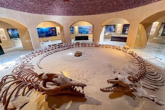 Fayoum Oasis Tour Hidden Gem Wadi El Rayan & Valley of the Whales - Fossils you can see in place, plus a museum stop