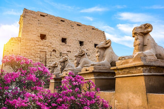 First impression of Luxor-Explore secrets of Luxor by horse carriage - Horse carriage transport: a fun way to move, with one serious reality check